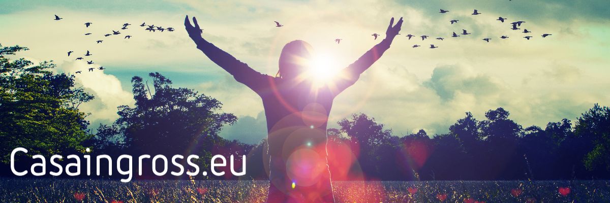 casaingross.ilab.pro